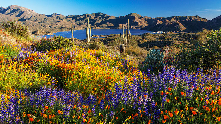 Wide scenery image