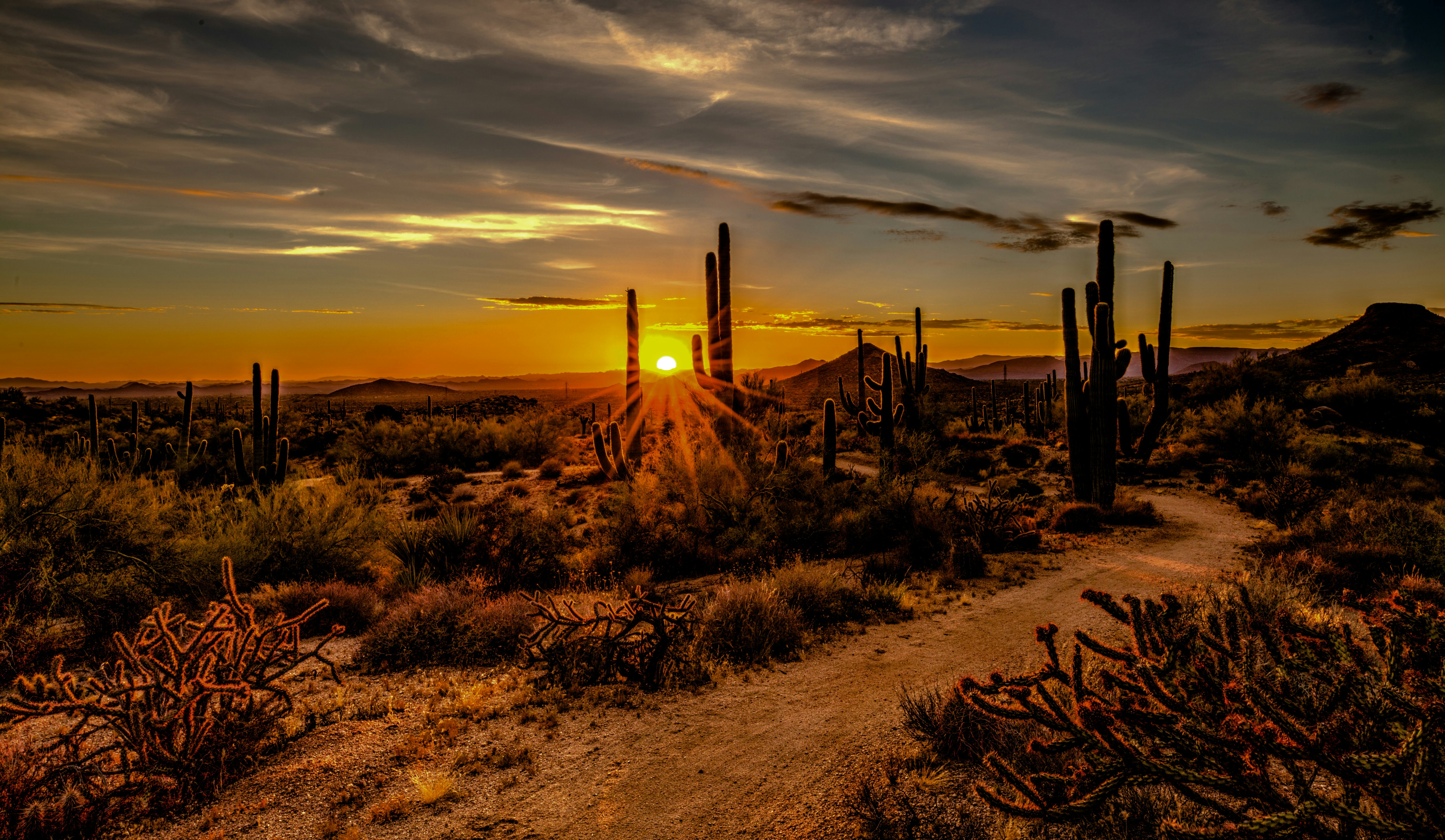 Wide scenery image